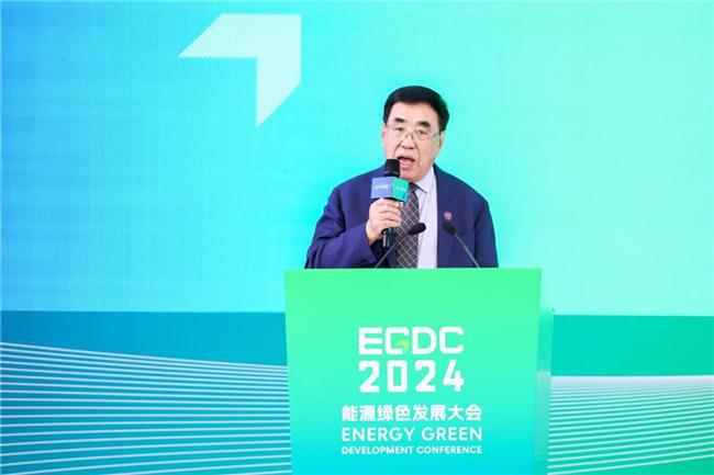 九游娱乐NineGame：2024能源绿色发展大会盛大启幕(图5)