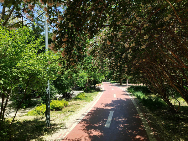 《2024—2025年节能降碳行动方案》发布加速绿色转型促进高质量发展(图3)