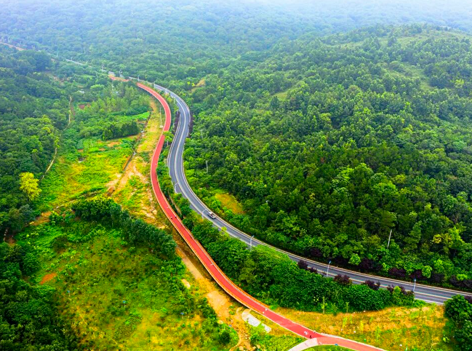 “绿”动滁州潮涌江淮(图2)