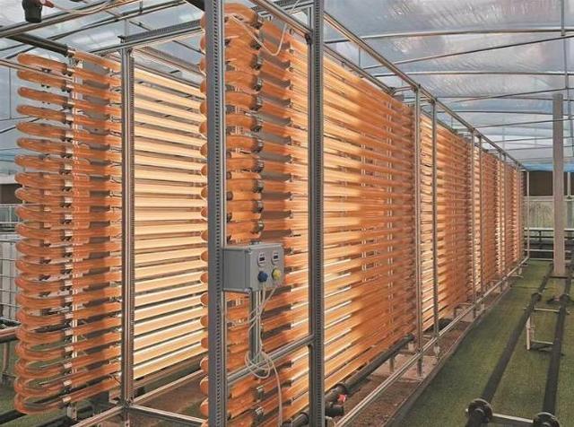 熊猫体育平台：【经济聚焦】从赛场突破到民生实效——青海“科创”赋能城市“智”变升级(图5)