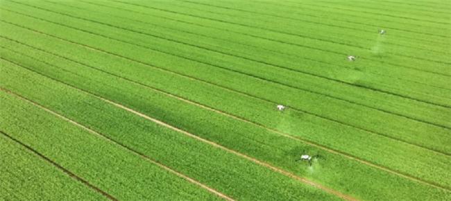 九游娱乐NineGame：兴业银行成都分行：绿色减排“碳”出转型“兴”路子 title=