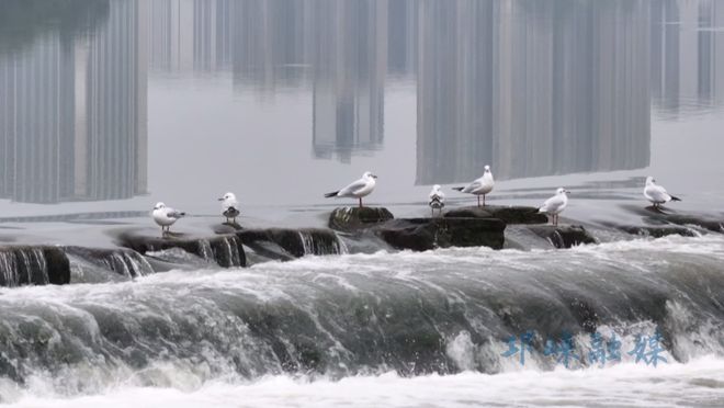 实干的邛崃—我们身边的“十四五”丨绿水青山映古城公园城市绽新颜 title=
