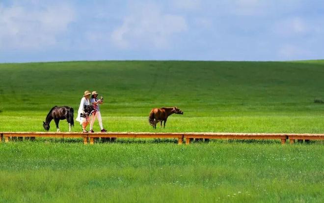 九游娱乐：【生态文明示范创建】乌拉盖：绿染天边草原绘就生态新篇(图3)