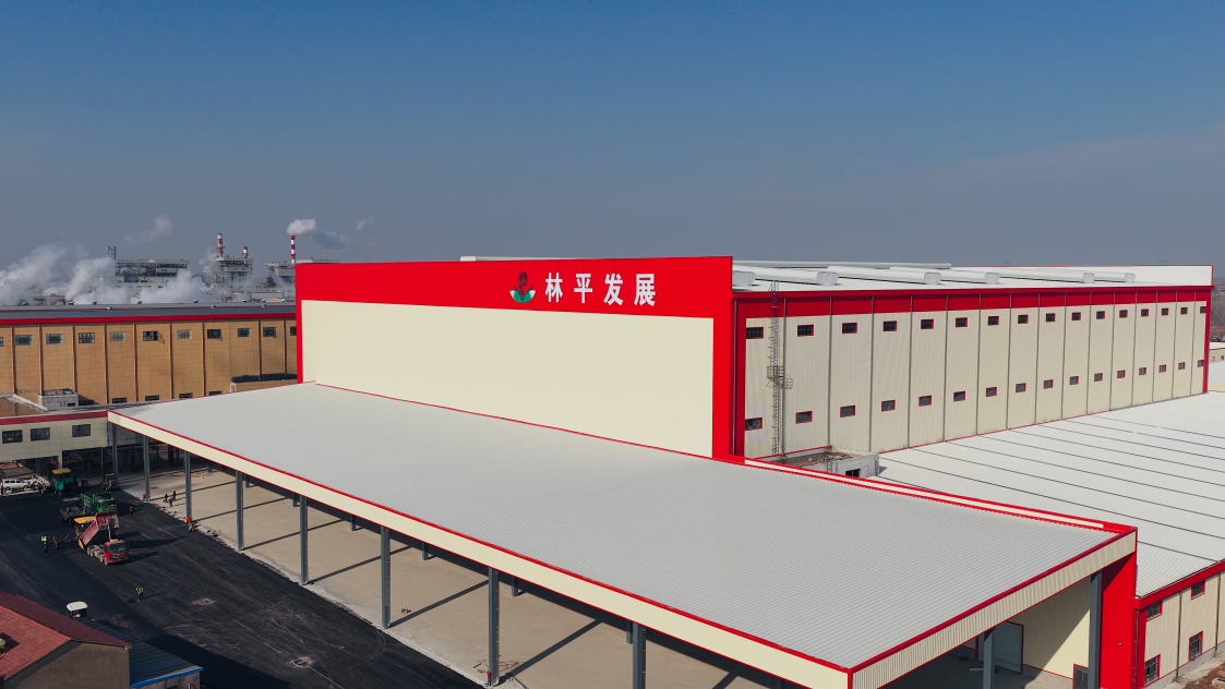 林平发展将于1月30日启动申购(图1)