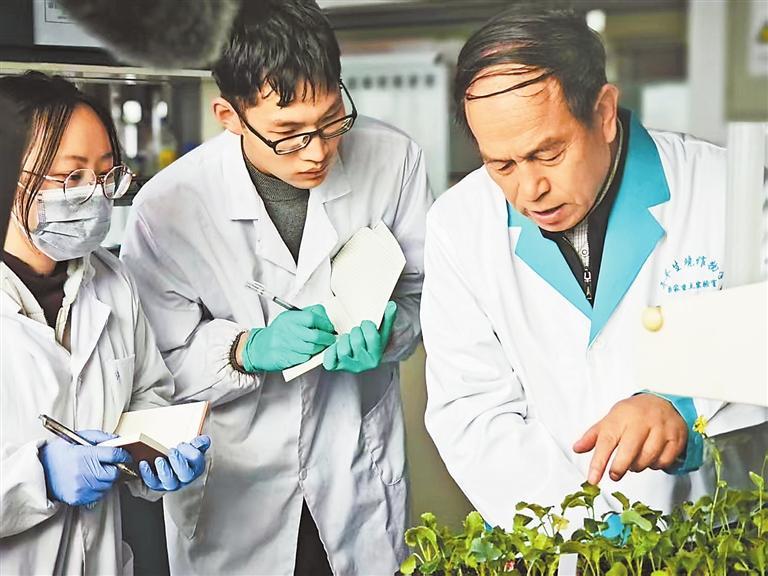 点燃高质量发展新引擎(图1)