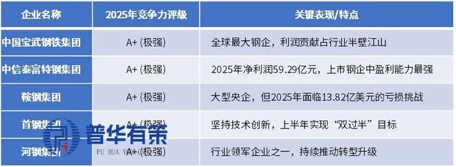 2026-2032年钢铁行业深度调研及投资前景预测报告(图3)