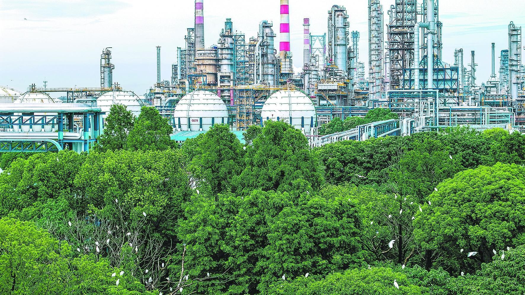 守护锦绣河山坚定逐绿前行(图2)