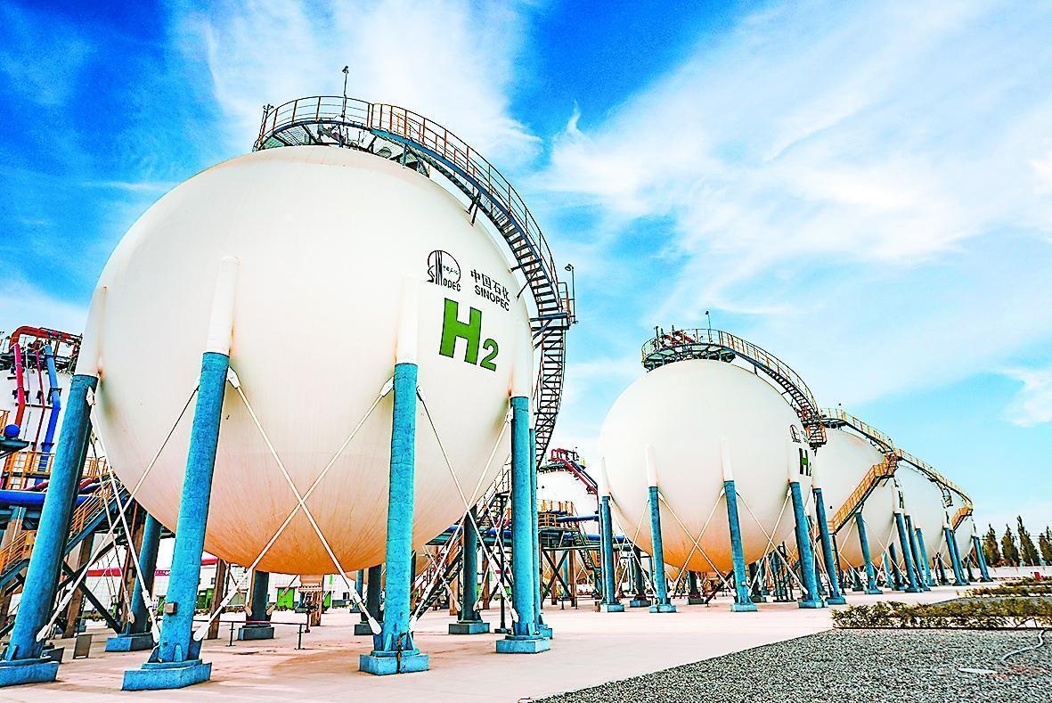 守护锦绣河山坚定逐绿前行(图8)